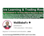 Wali baba forex course